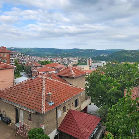 Panoramna - Guest