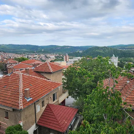 Panoramna - Guest